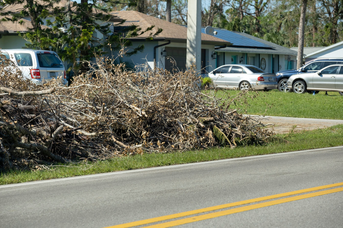 Storm-downed limbs and branches piled at a curb for pickup