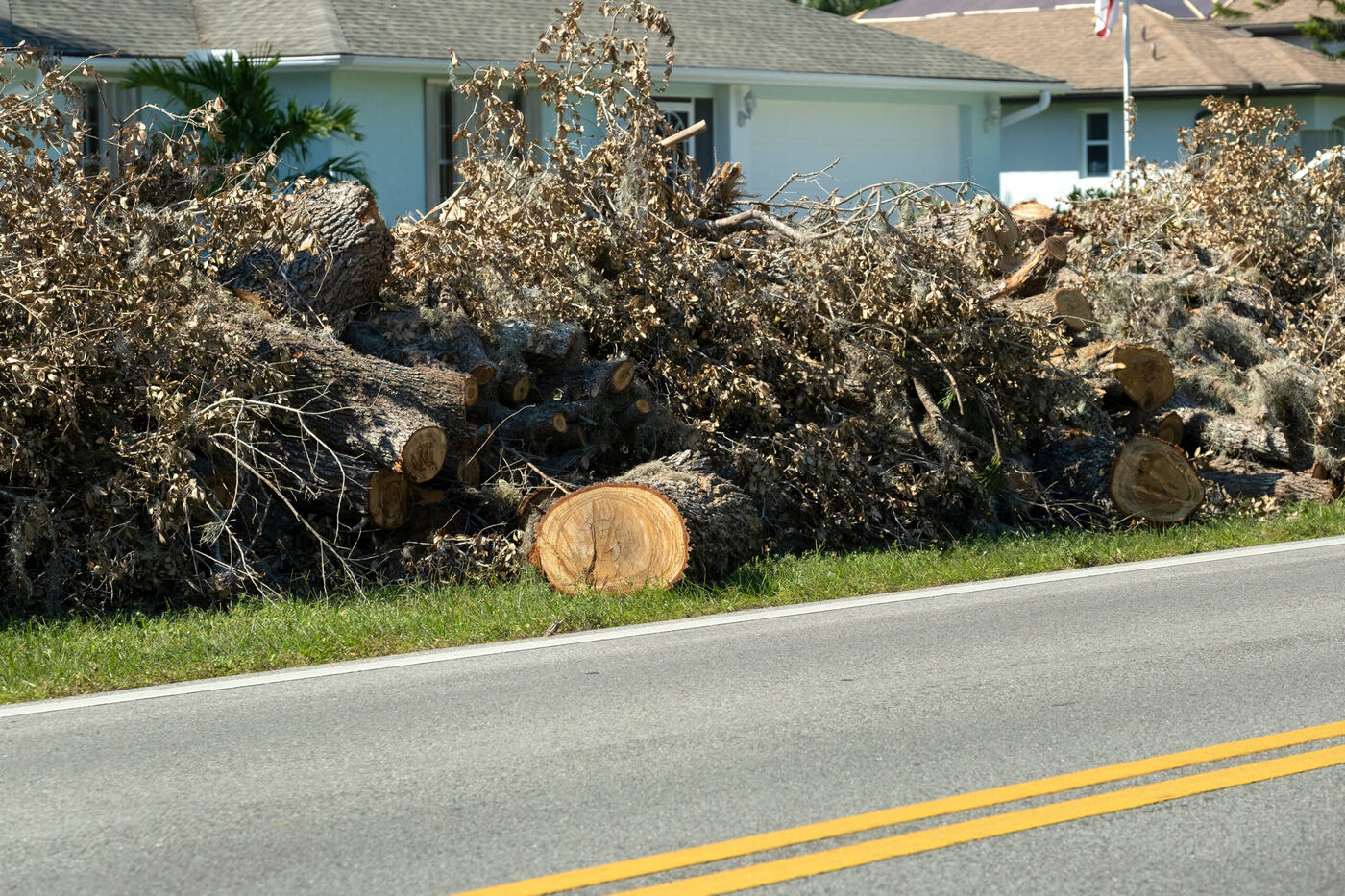 Heap of storm-downed branches staged for grapple pickup
